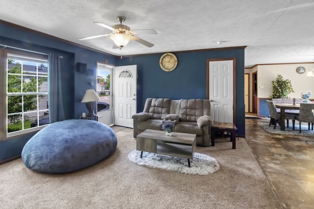 29878 Meadow Ln, Gibraltar, MI 48173 - living room with a ceiling fan and a textured ceiling