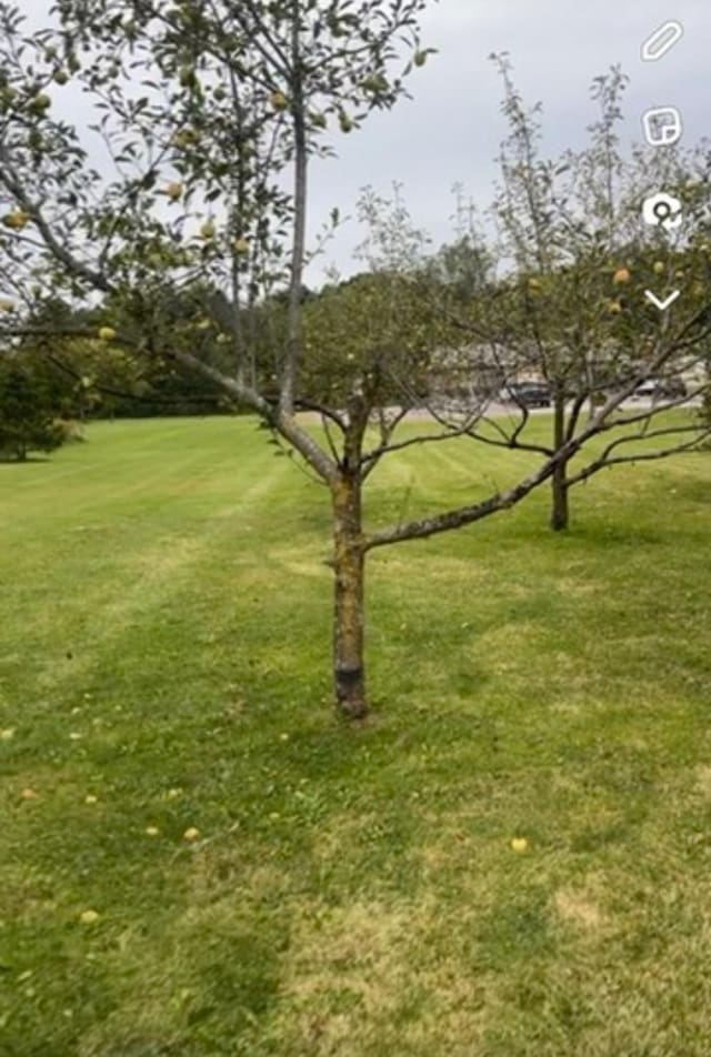 12400 S Gera Rd, Birch Run, MI 48415