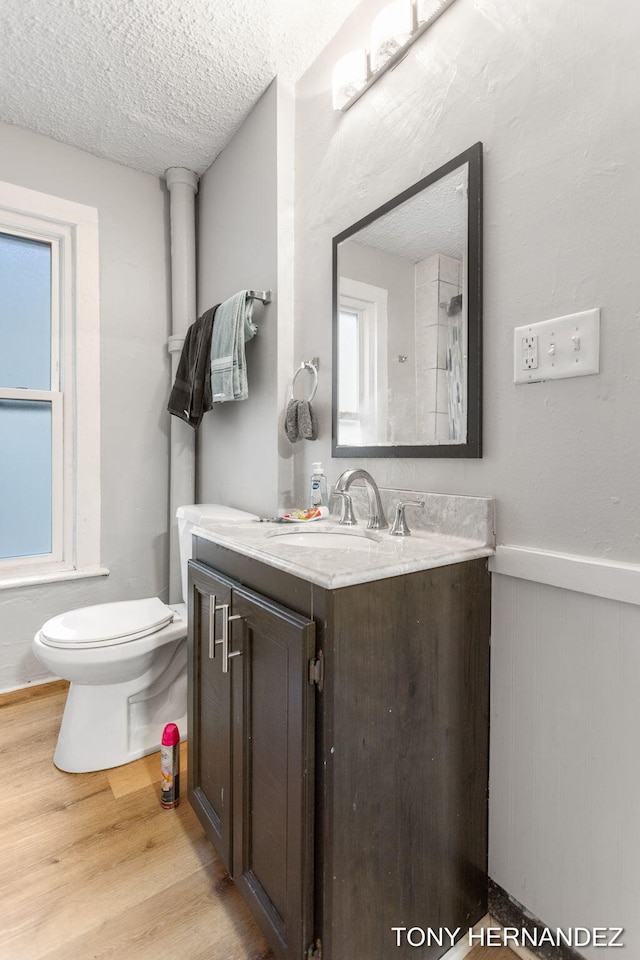 1402 N Ave NE, Grand Rapids, MI 49505 - full bathroom with vanity, toilet, wood finished floors, a textured ceiling, and wainscoting