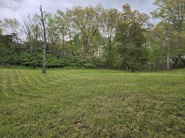 3800 W Hallett Rd, Hillsdale, MI 49242 - view of grassy yard