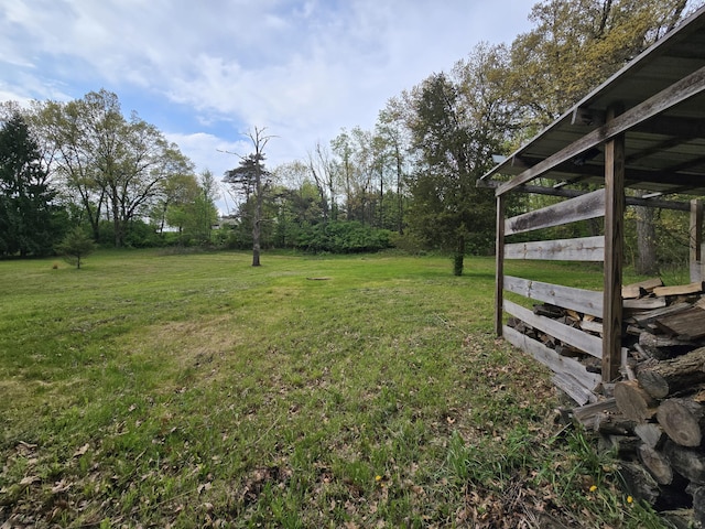 3800 W Hallett Rd, Hillsdale, MI 49242 - view of green lawn