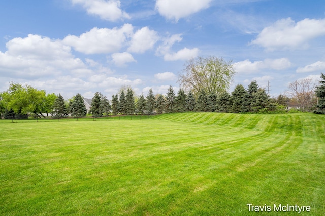 view of grassy yard