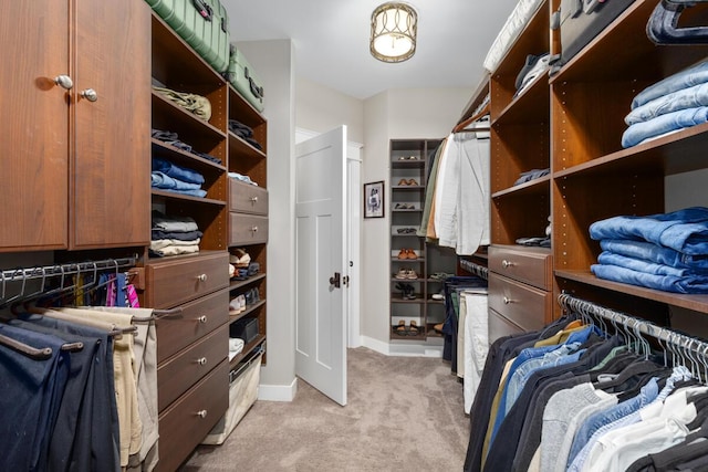 9510 Sparta Ave NW, Sparta, MI 49345 - spacious closet featuring light colored carpet