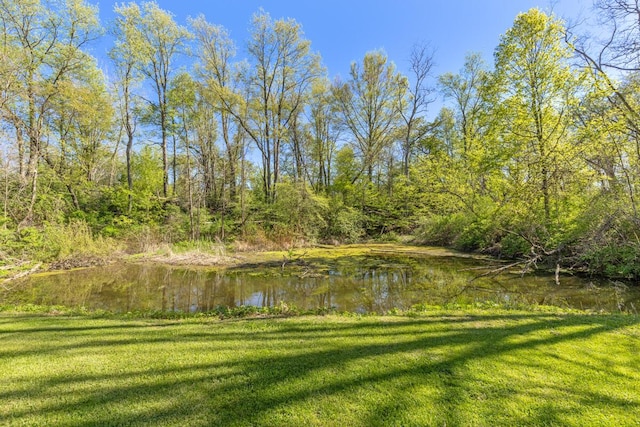9510 Sparta Ave NW, Sparta, MI 49345 - view of grassy yard featuring a water view