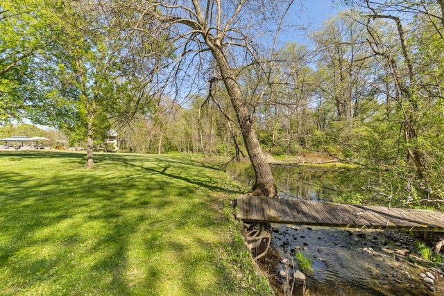 9510 Sparta Ave NW, Sparta, MI 49345 - view of green lawn