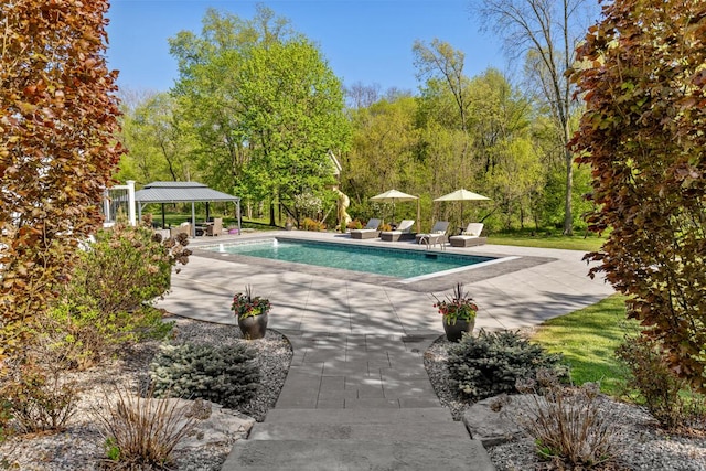9510 Sparta Ave NW, Sparta, MI 49345 - swimming pool featuring a patio area