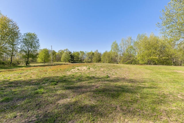9510 Sparta Ave NW, Sparta, MI 49345 - view of green lawn with a view of rural / pastoral area