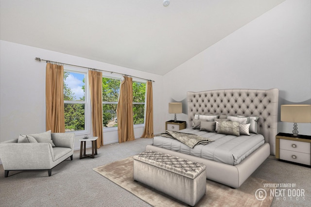 2570 Black Horse Ct NE, Grand Rapids, MI 49505 - carpeted bedroom featuring vaulted ceiling