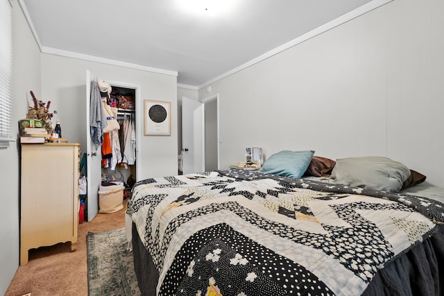 carpeted bedroom with ornamental molding, a walk in closet, and a closet