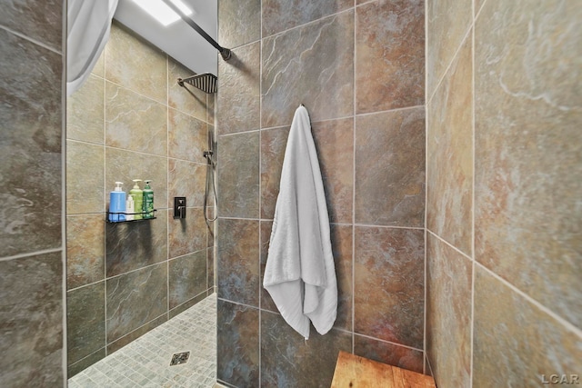 608 Budlong St, Adrian, MI 49221 - bathroom with tiled shower