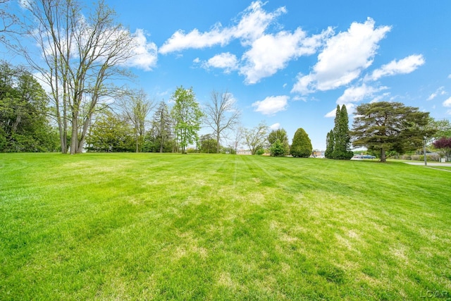 608 Budlong St, Adrian, MI 49221 - view of grassy yard