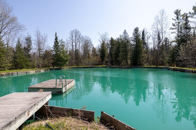 13045 SW Coster Rd, Fife Lake, MI 49633