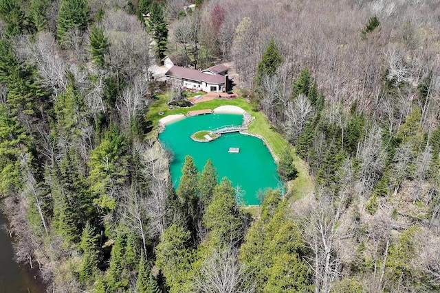 13045 SW Coster Rd, Fife Lake, MI 49633