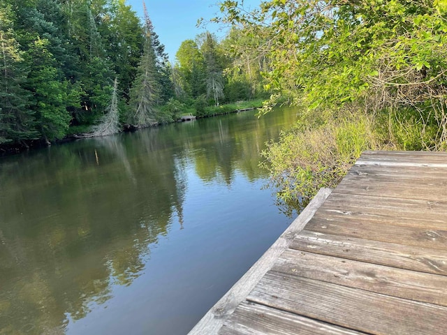 13045 SW Coster Rd, Fife Lake, MI 49633