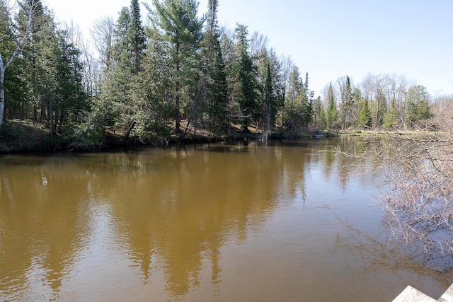13045 SW Coster Rd, Fife Lake, MI 49633