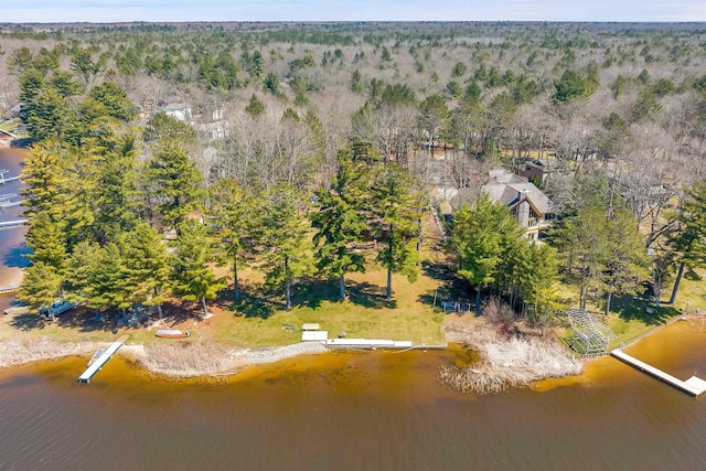 7017 Loud Dr, Oscoda, MI 48750 - aerial view of a nearby body of water