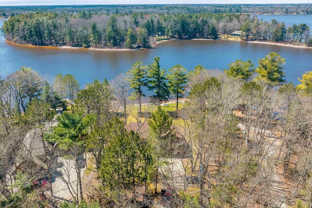 7017 Loud Dr, Oscoda, MI 48750 - aerial view of a forest and a nearby body of water