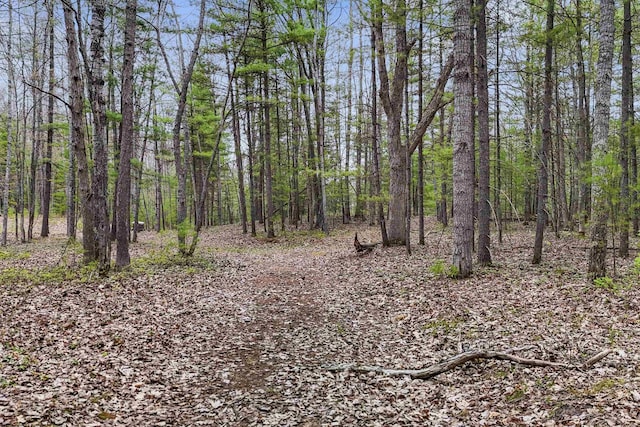 0 Dubonnet Trl, Interlochen, MI 49643
