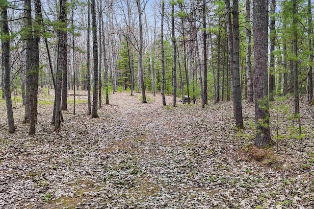 0 Dubonnet Trl, Interlochen, MI 49643