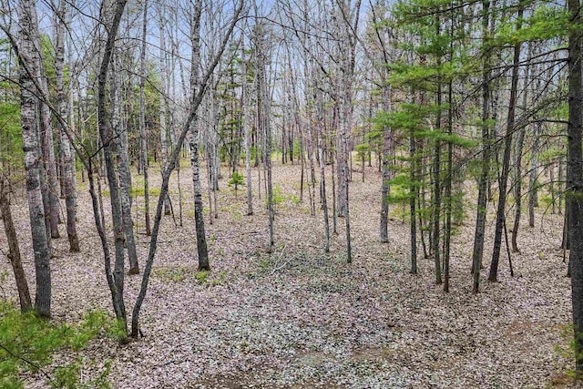0 Dubonnet Trl, Interlochen, MI 49643