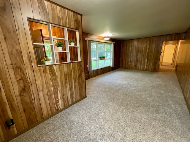 5817 Everest Dr, Clarkston, MI 48346 - carpeted spare room featuring wooden walls