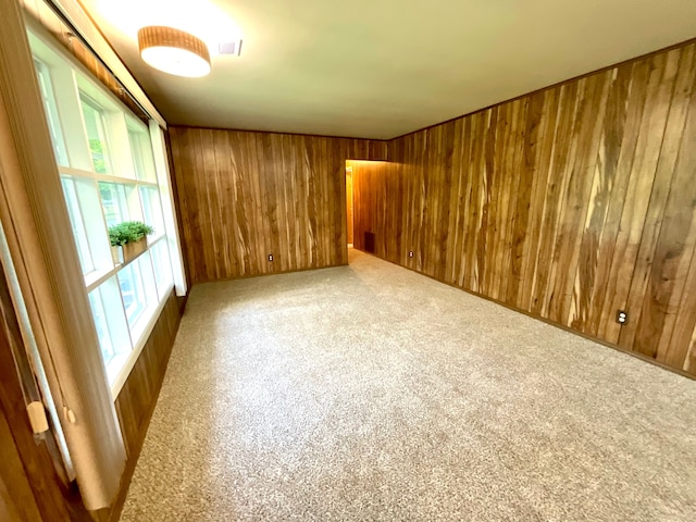 5817 Everest Dr, Clarkston, MI 48346 - unfurnished room with wood walls and carpet