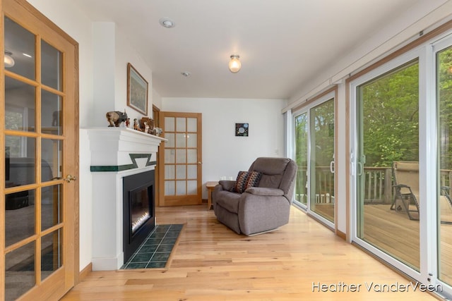 living area with light wood-style floors, plenty of natural light, and a fireplace with flush hearth