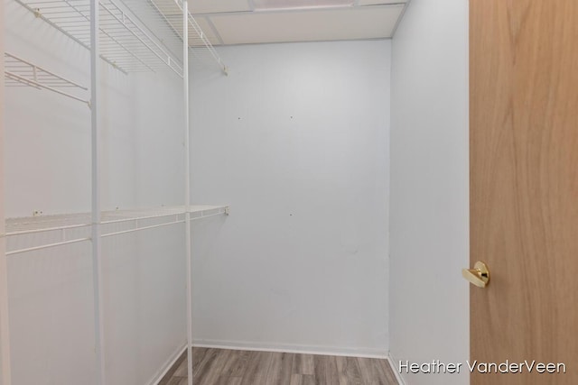 walk in closet with wood finished floors