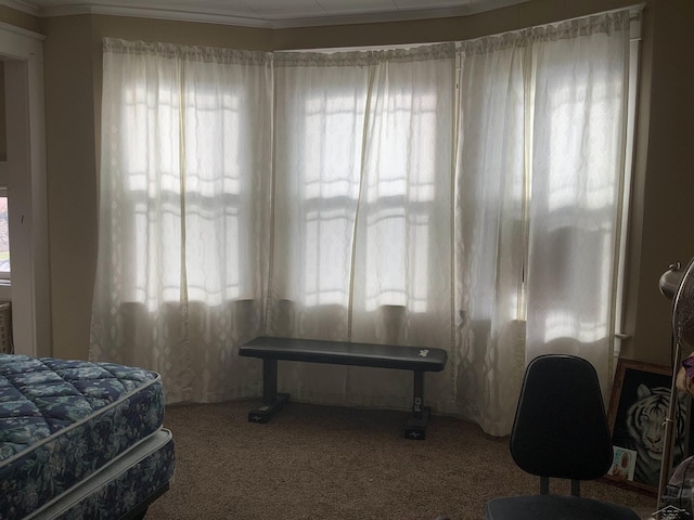 508 N Roosevelt Austin Ave, Saginaw, MI 48607 - view of carpeted bedroom