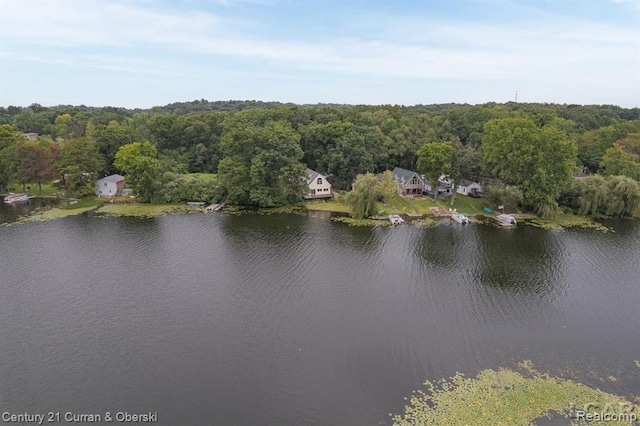 117 Studer Dr, Grass Lake, MI 49240 - aerial view of property and surrounding area featuring a nearby body of water and a forest