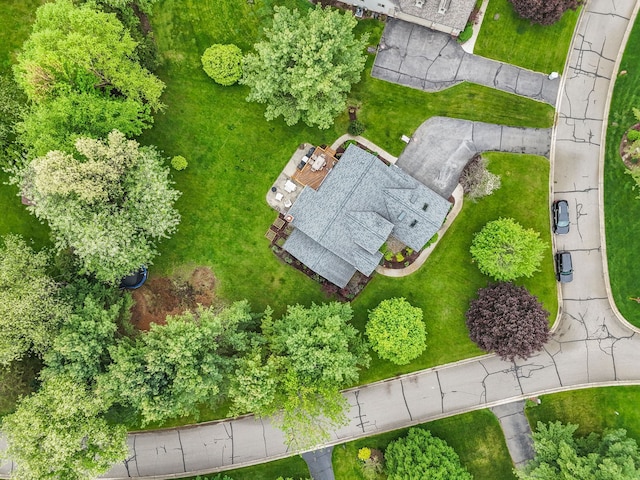 bird's eye view