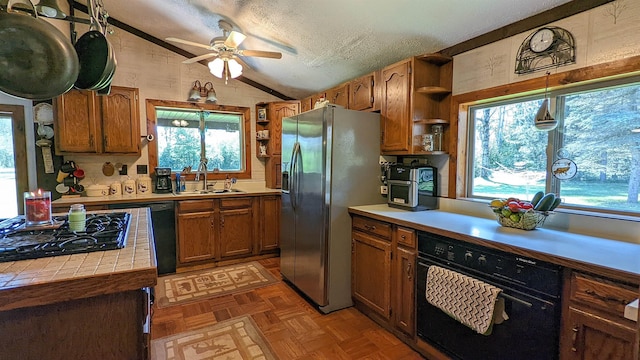 7884 N Saint Helen Rd, Saint Helen, MI 48656 - kitchen with open shelves, black appliances, a sink, lofted ceiling, and tile counters