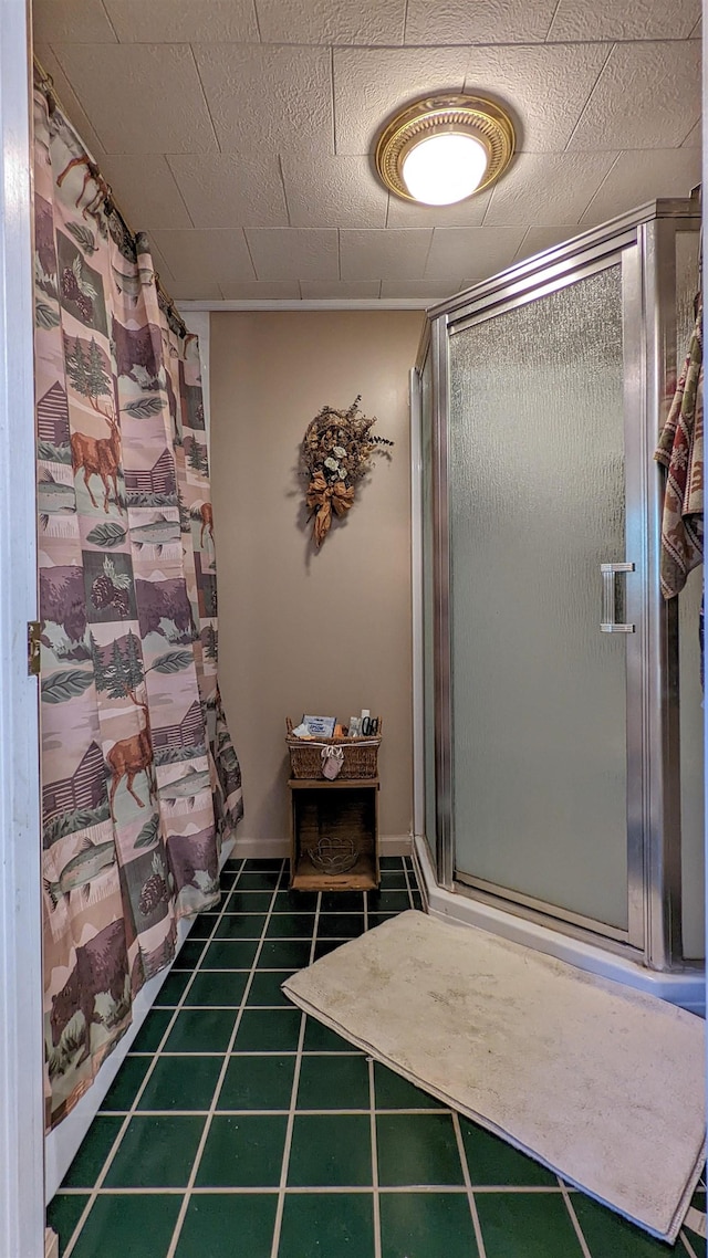 7884 N Saint Helen Rd, Saint Helen, MI 48656 - full bath with a shower stall and tile patterned flooring