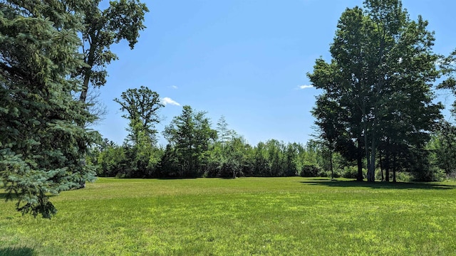 7884 N Saint Helen Rd, Saint Helen, MI 48656 - view of grassy yard with a wooded view