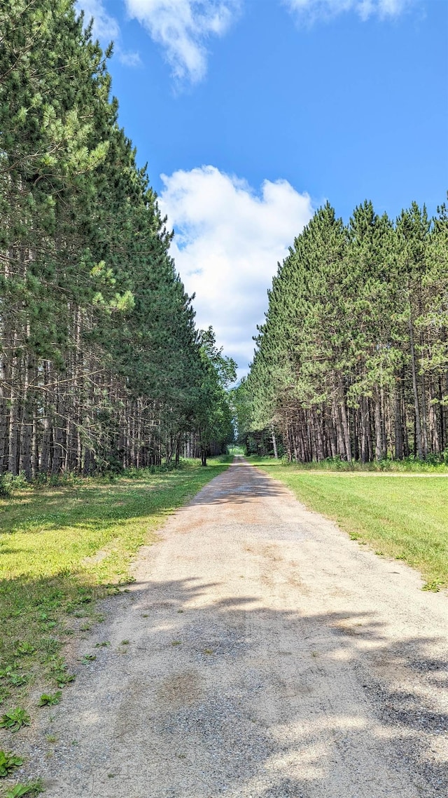 7884 N Saint Helen Rd, Saint Helen, MI 48656 - view of street featuring a view of trees