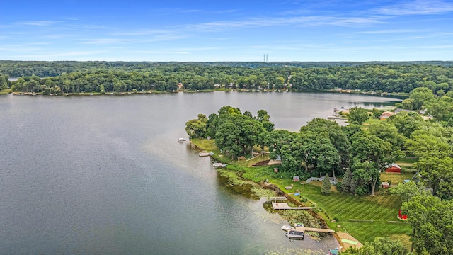 6520 Oakwood Dr, Delton, MI 49046 - aerial view of property's location with a large body of water and a forest