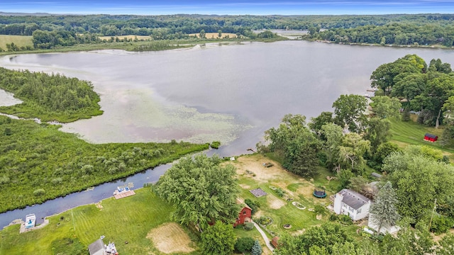 6520 Oakwood Dr, Delton, MI 49046 - drone / aerial view of a large body of water