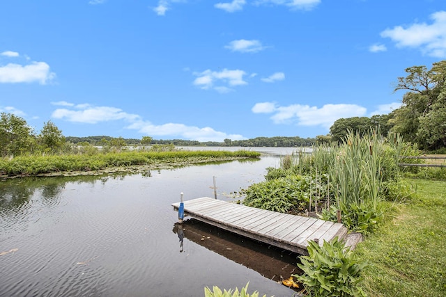 6520 Oakwood Dr, Delton, MI 49046 - dock area featuring a water view