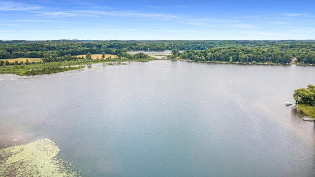 6520 Oakwood Dr, Delton, MI 49046 - water view featuring a forest