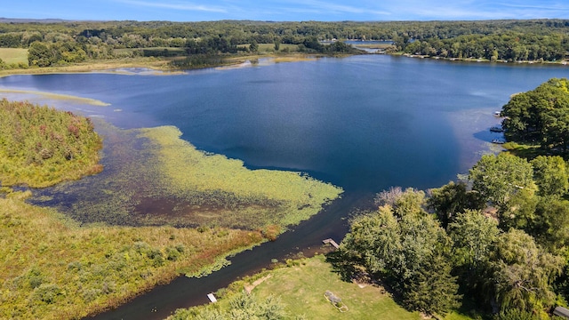 6520 Oakwood Dr, Delton, MI 49046 - bird's eye view of a nearby body of water and a forest