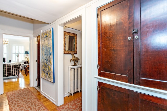736 Chicago Blvd, Detroit, MI 48202 - hallway featuring radiator heating unit, light wood-type flooring, a chandelier, and baseboards