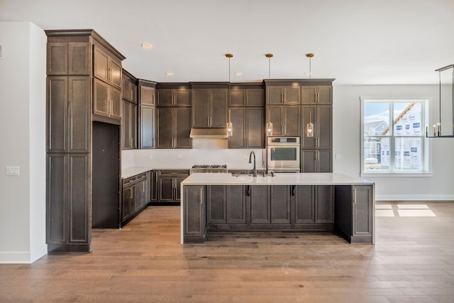 5636 Suffolk Ct, West Bloomfield, MI 48322 - kitchen with appliances with stainless steel finishes, a sink, baseboards, under cabinet range hood, and light wood-type flooring