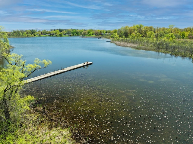 194 W Reed Lk, Commerce Twp, MI 48390 - dock area with a water view