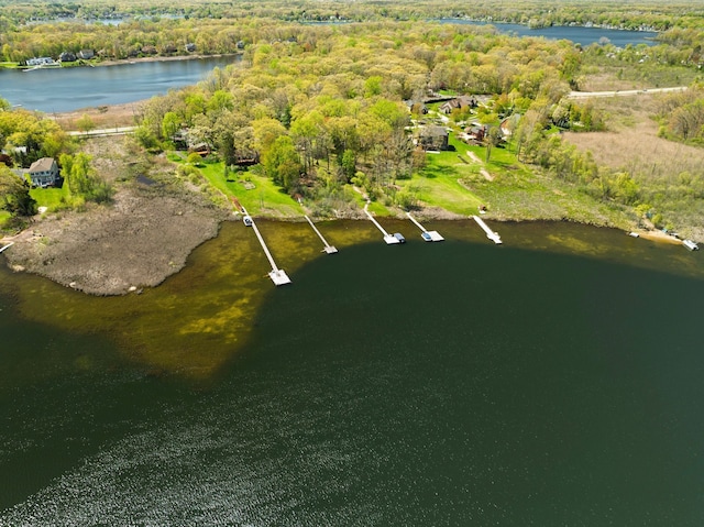 194 W Reed Lk, Commerce Twp, MI 48390 - aerial overview of property's location featuring a nearby body of water