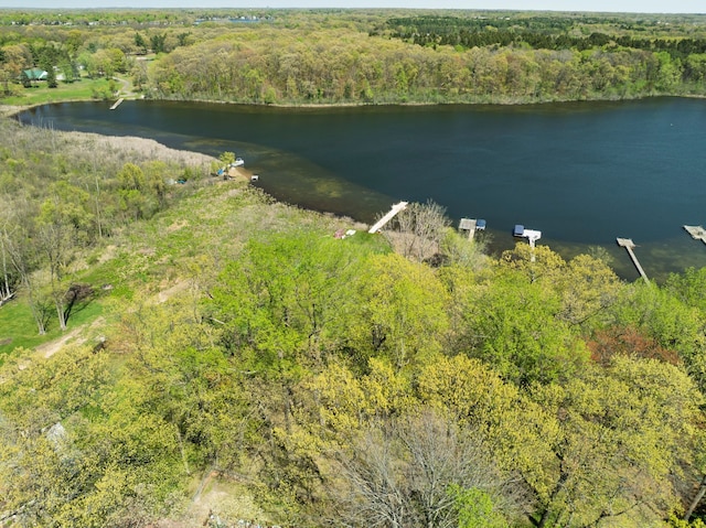 194 W Reed Lk, Commerce Twp, MI 48390 - aerial overview of property's location featuring a forest and a large body of water