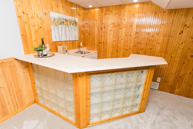 11748 Cloverview Dr, Ravenna, MI 49451 - indoor wet bar featuring carpet flooring, wooden walls, and recessed lighting