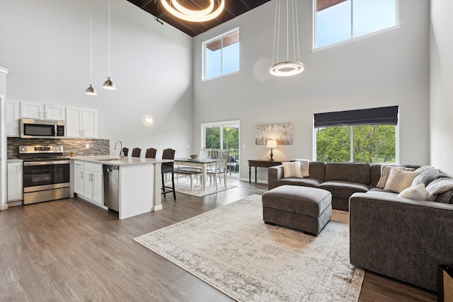 293 N 2nd St, Brighton, MI 48116 - living area featuring high vaulted ceiling, wood finished floors, beamed ceiling, and wooden ceiling