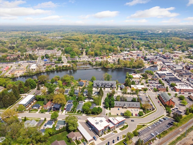 293 N 2nd St, Brighton, MI 48116 - drone / aerial view of a large body of water