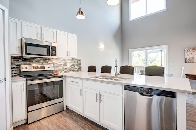 293 N 2nd St, Brighton, MI 48116 - kitchen with appliances with stainless steel finishes, a high ceiling, a sink, light wood-style floors, and light countertops