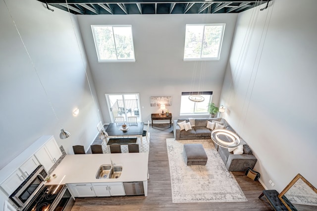293 N 2nd St, Brighton, MI 48116 - living area featuring a towering ceiling and wood finished floors